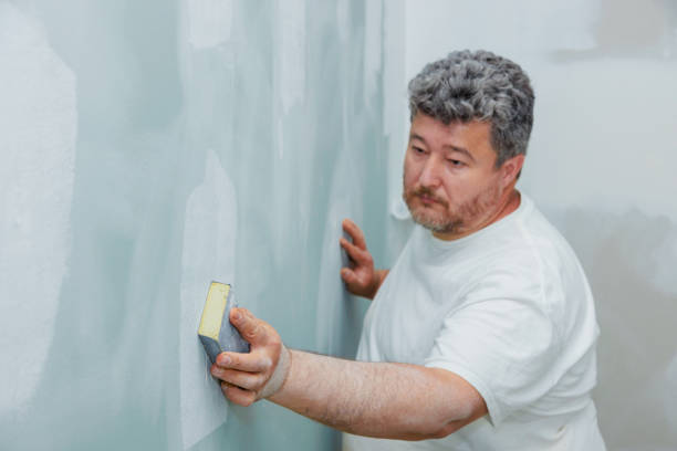 Best Black Mold Removal  in Bawcomville, LA